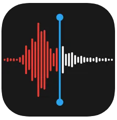 APP Voice Memos https://www.professorjruiz.com/wp-content/uploads/2024/02/APP-Voice-Memos.png